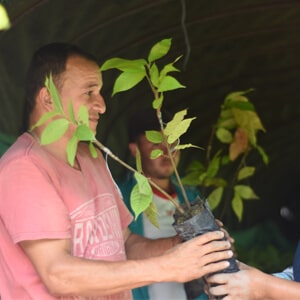 fundación Yuma Siembra